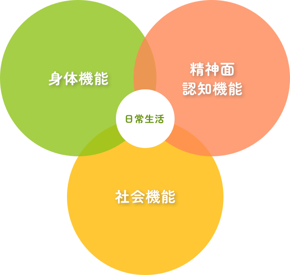 身体機能 精神面 認知機能 社会機能 日常生活